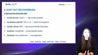 5. Leaky gut mechanizmusai