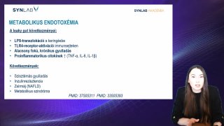 6. Metabolikus endotoxémia