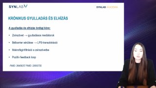 7. Krónikus gyulladás és elhízás