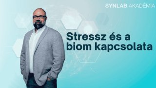 Stressz és a biom kapcsolata