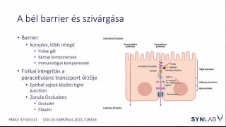 6 - A bél barrier és szivárgása
