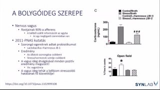 9 - A bolygóideg szerepe