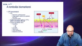 13. Rombolás biomarkerei 2