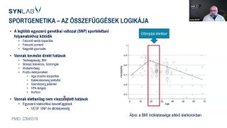 3. Az összefüggések logikája