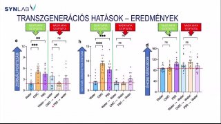 12 - Édesanyák figyelmébe