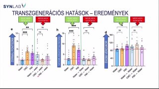 12 - Édesanyák figyelmébe