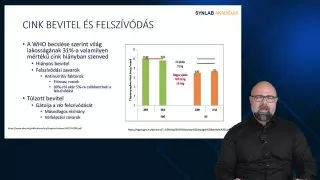 Cink bevitel és felszívódás