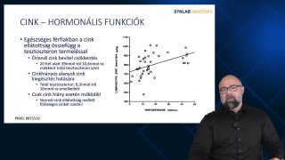 Cink-hormonális funkciók