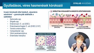 4 - Infektív hasmenések klinikai megjelenése