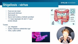 7 - Vérhas