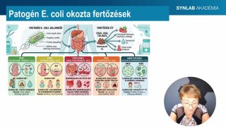 8 - Patogén E.coli okozta fertőzések