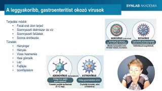 10 - Gastroenteritist okozó vírusok