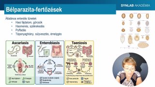 12 -  Protozoonosisok, parazitózisok