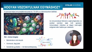 3 - Hogyan viszonyul egymáshoz az immunrendszer és a tápcsatorna