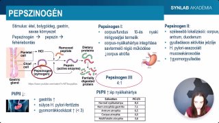 10 - Pepszinogén