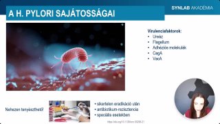 12 - Helicobacter Pylori sajátosságai