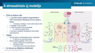 6 - A stresszbiózis új modellje