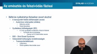2 - Az emésztés és felszívódás fázisai
