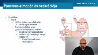 5 - Pancreas-zimogén és szekréciója
