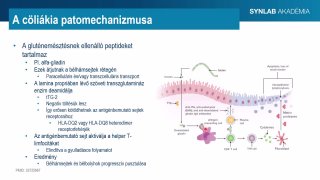 10 - Cöliákia