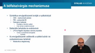 12 - Az ultrafeldolgozott élelmiszerek hatása
