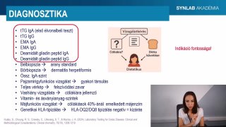 4 - Diagnosztika