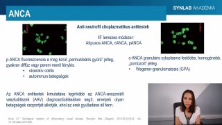 12 - ANCA és együttes hatások