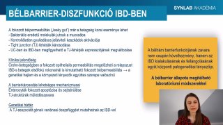 4 - Neutrophil Granulocyták és a Bélbarrier-Diszfunkció