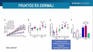 12. Fruktóz 2.rész
